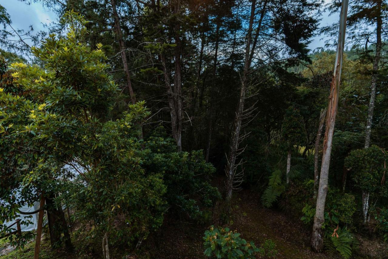 Alma Hotel Campestre Santa Elena  Dış mekan fotoğraf
